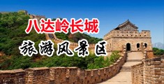 搞逼网站国产中国北京-八达岭长城旅游风景区